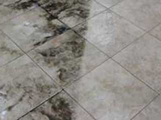 Tile Cleaning | Laguna Niguel Carpet Cleaning